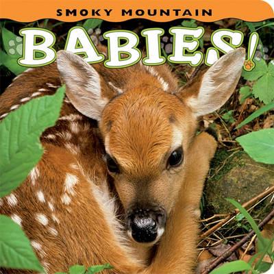 Smoky Mountain Babies! - Ann Simpson