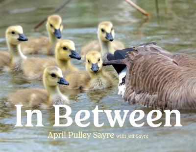 In Between - April Pulley Sayre