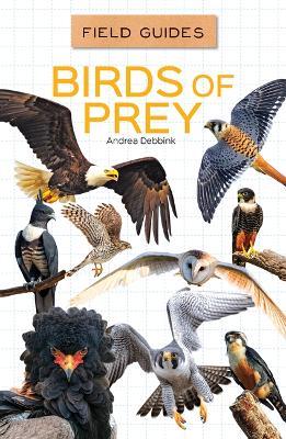 Birds of Prey - Andrea Debbink