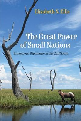 The Great Power of Small Nations: Indigenous Diplomacy in the Gulf South - Elizabeth N. Ellis