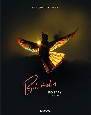 Birds - Christian Spencer