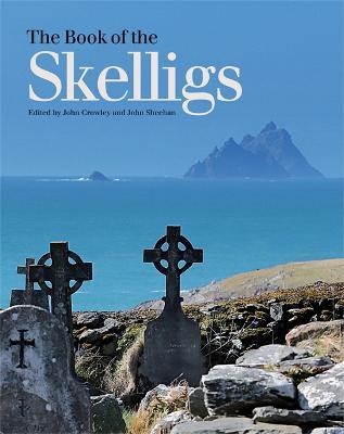 The Book of the Skelligs - John Crowley