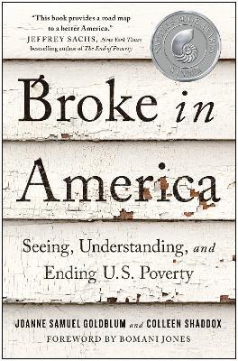 Broke in America: Seeing, Understanding, and Ending Us Poverty - Joanne Samuel Goldblum