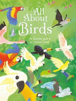 All about Birds: An Illustrated Guide to Our Feathered Friends - Polly Cheeseman