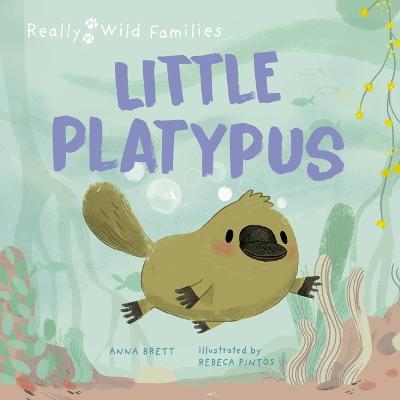 Little Platypus: A Day in the Life of a Platypus Puggle - Rebeca Pintos