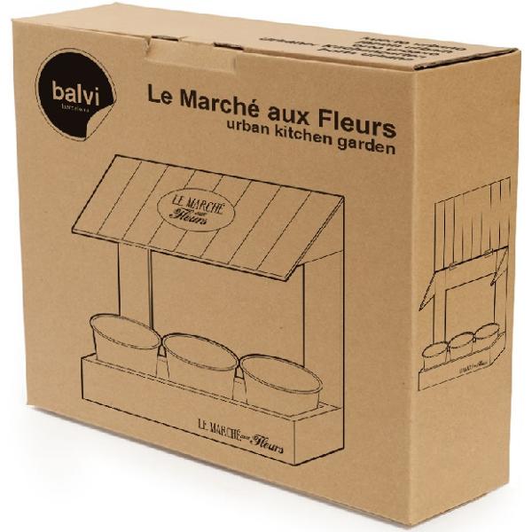 Set ghivece plante aromatice