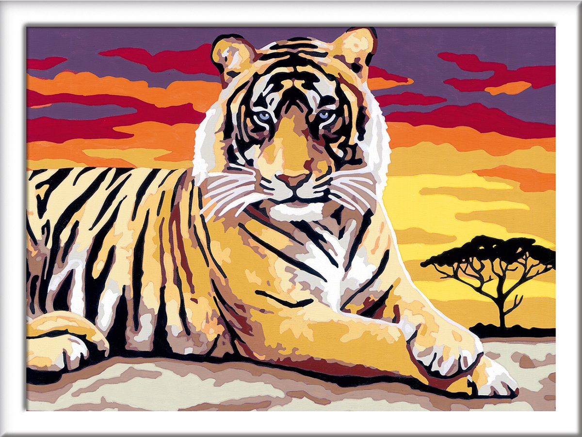 Pictura pe numere: Tigru