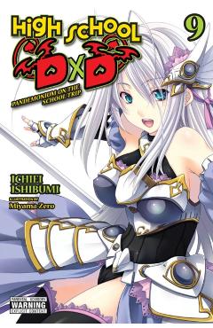 High School DXD, Vol. 9 (Light Novel) - Ichiei Ishibumi