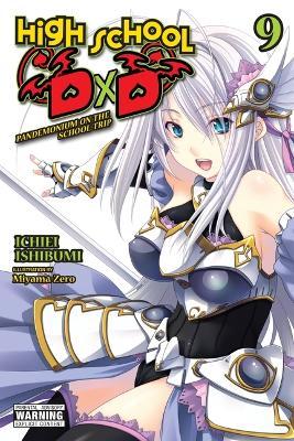 High School DXD, Vol. 9 (Light Novel) - Ichiei Ishibumi