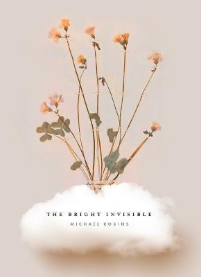 The Bright Invisible - Michael Robins