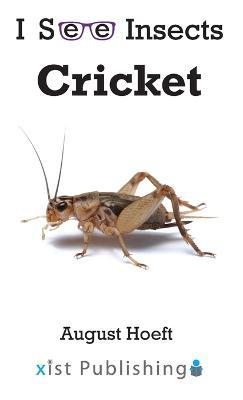 Cricket - August Hoeft