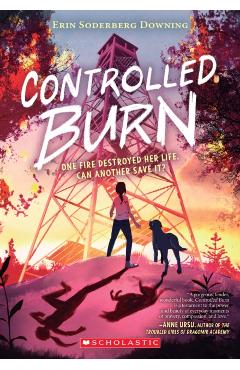 Controlled Burn - Erin Soderberg Downing