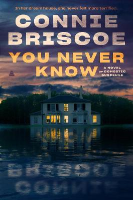 You Never Know: A Novel of Domestic Suspense - Connie Briscoe
