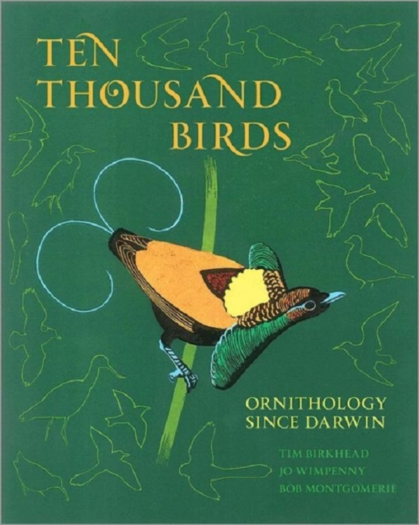 Ten Thousand Birds - Tim Birkhead, Jo Wimpenny, Bob Montgomerie