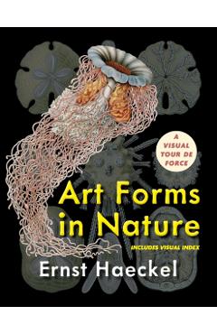 Art Forms in Nature (Dover Pictorial Archive) - Ernst Haeckel