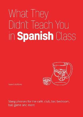 What They Didn't Teach You in Spanish Class: Slang Phrases for the Cafe, Club, Bar, Bedroom, Ball Game and More - Juan Caballero