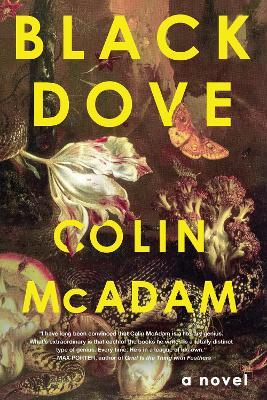 Black Dove - Colin Mcadam
