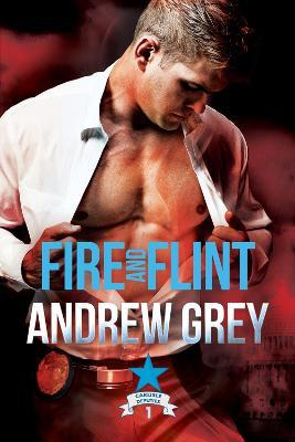 Fire and Flint: Volume 1 - Andrew Grey
