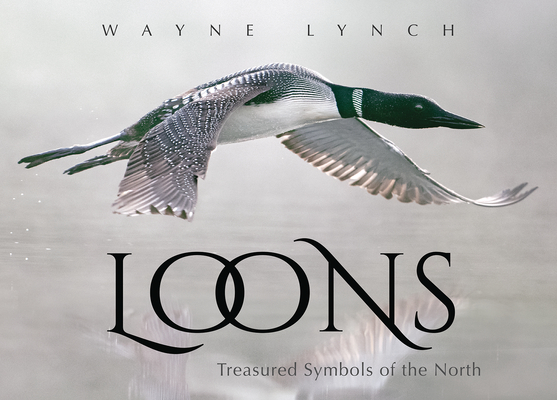 Loons: Treasured Symbols of the North - Wayne Lynch