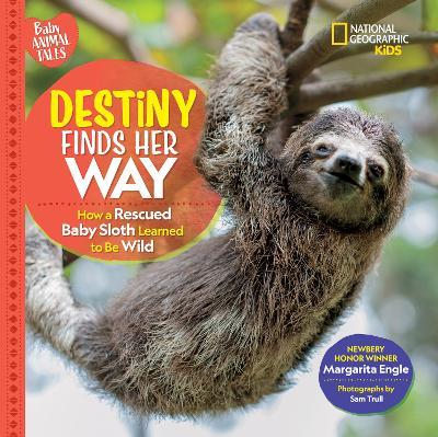 Destiny Finds Her Way: How a Rescued Baby Sloth Learned to Be Wild - Margarita Engle