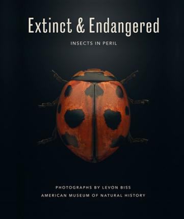 Extinct & Endangered: Insects in Peril - Levon Biss