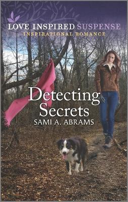 Detecting Secrets - Sami A. Abrams
