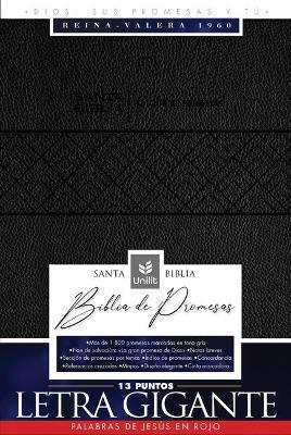 Santa Biblia de Promesas Reina-Valera 1960 / Letra Gigante - 13 Puntos / Piel Especial / Negra // Spanish Promise Bible Rvr60 / Giant Print / Leathers - Unilit