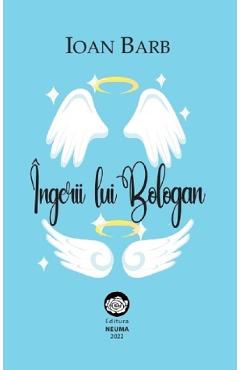 Poza produsului Ingerii lui Bologan - Ioan Barb