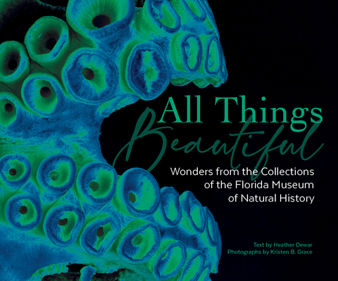 All Things Beautiful: Wonders from the Collections of the Florida Museum of Natural History - Florida Museum Of Natural History