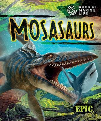 Mosasaurs - Kate Moening