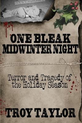 One Bleak Midwinter Night - Troy Taylor
