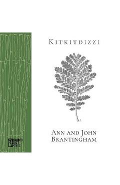 Poza produsului Kitkitdizzi: A Non-Linear Memoir of the High Sierra - John Brantingham