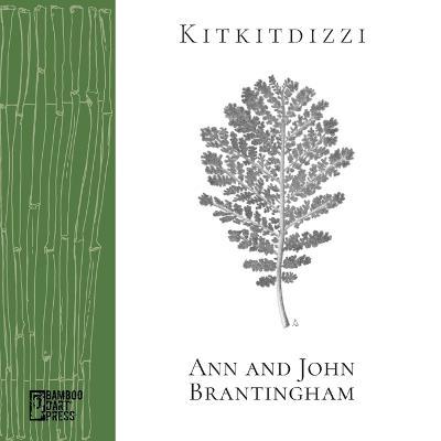 Kitkitdizzi: A Non-Linear Memoir of the High Sierra - John Brantingham