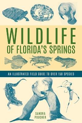 Wildlife of Florida's Springs: An Illustrated Field Guide to Over 150 Species - Sandra Poucher