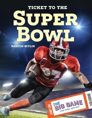 Ticket to the Super Bowl - Martin Gitlin