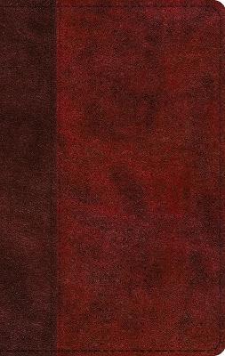 ESV Large Print Thinline Bible (Trutone, Burgundy/Red, Timeless Design) - 