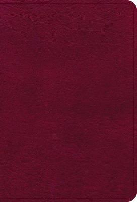 NASB Large Print Compact Reference Bible, Burgundy Leathertouch - Holman Bible Publishers