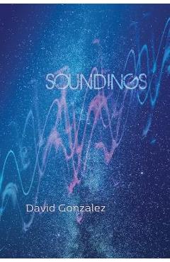 Coperta cărții 'Soundings - David Gonzalez'