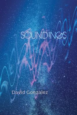 Coperta cărții 'Soundings - David Gonzalez'
