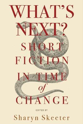What's Next? Short Fiction in Time of Change - Sharyn Skeeter