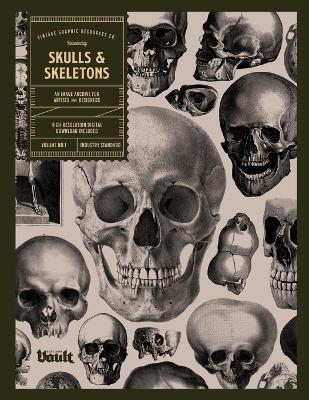 Skulls and Skeletons: An Image Archive and Anatomy Reference Book for Artists and Designers: An Image Archive and Drawing Reference Book for - Kale James