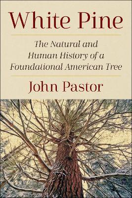 White Pine: The Natural and Human History of a Foundational American Tree - John Pastor