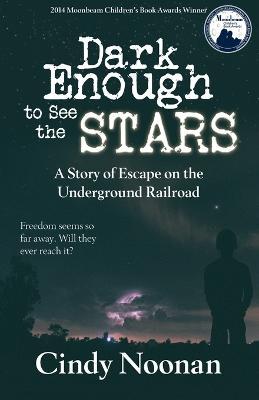 Dark Enough to See the Stars: A Story of Escape on the Underground Railroad - Cynthia Lynn Noonan