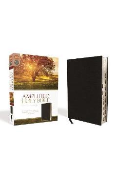 Coperta cărții 'Amplified-Am: Captures the Full Meaning Behind the Original Greek and Hebrew - Zondervan'