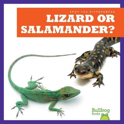 Lizard or Salamander? - Jamie Rice