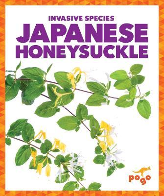 Japanese Honeysuckle - Alicia Z. Klepeis