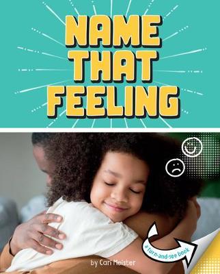 Name That Feeling: A Turn-And-See Book - Cari Meister