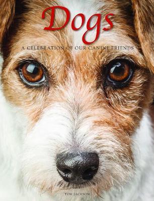 Dogs: A Celebration of Our Canine Friends - Tom Jackson