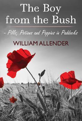 The Boy from the Bush - Pills, Potions and Poppies in Paddocks No.2 - William Allender