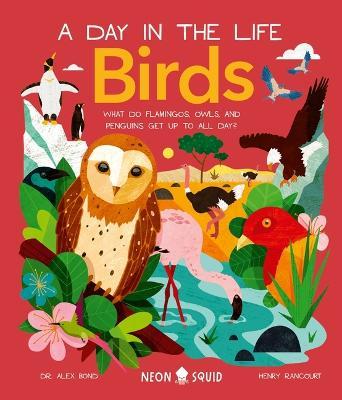 Birds (a Day in the Life): What Do Flamingos, Owls, and Penguins Get Up to All Day? - Alex Bond